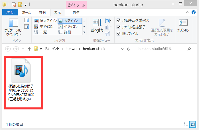 ダウンロードされた動画ファイルの保存フォルダー