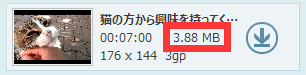 動画ダウンロード　ビデオファイルサイズ