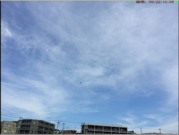 doga エンドロールを作成,テキストを追加,17