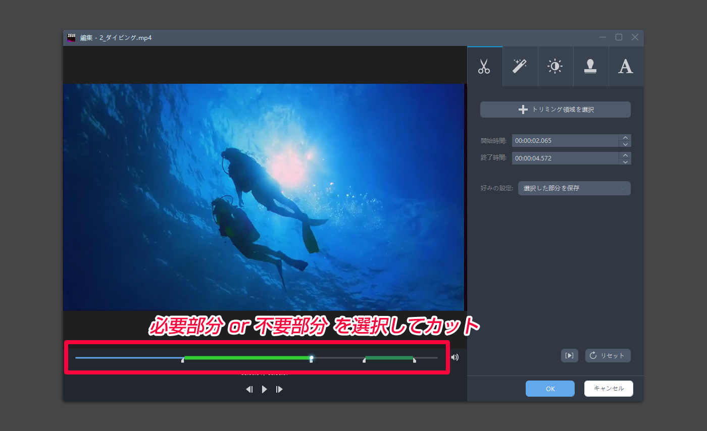 ZEUS EDIT カット編集